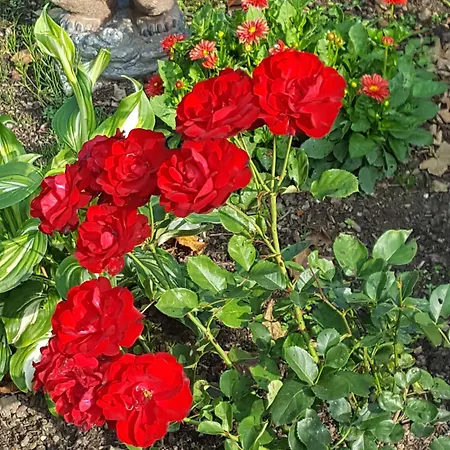 Fernblick בית הארחה זנקט אנדריאסברג