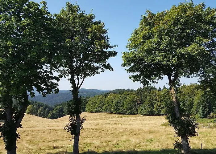 Pensionat Fernblick 3*