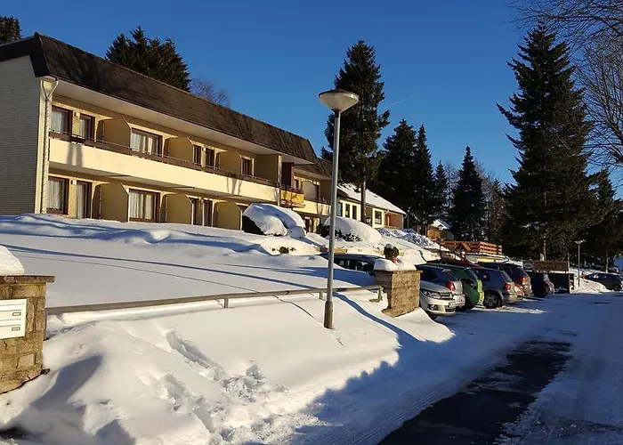 Fernblick